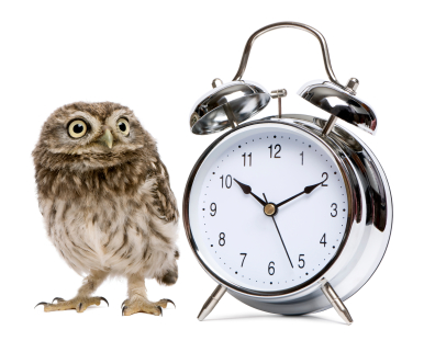 Image courtesy of www. istockphoto.com